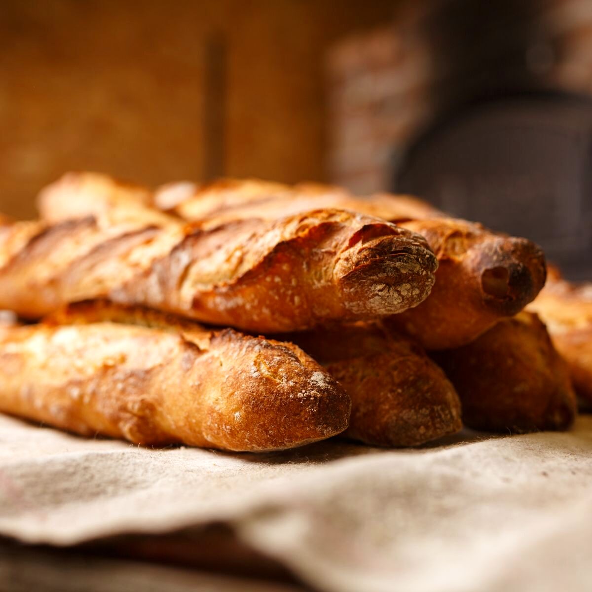 Fresh baguettes on a floured cloth